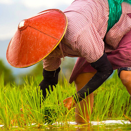iAgripreneur