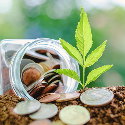 Agribusiness Investment